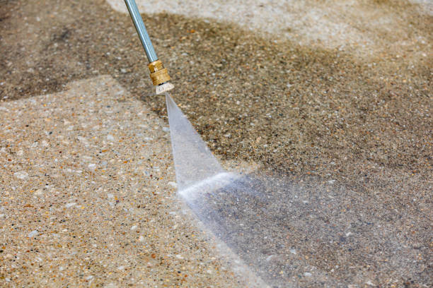 Best Sign and Awning Cleaning  in St Leo, FL