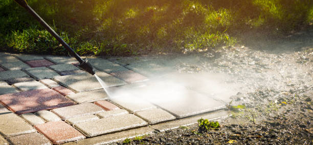 Pre-Holiday Cleaning in St Leo, FL